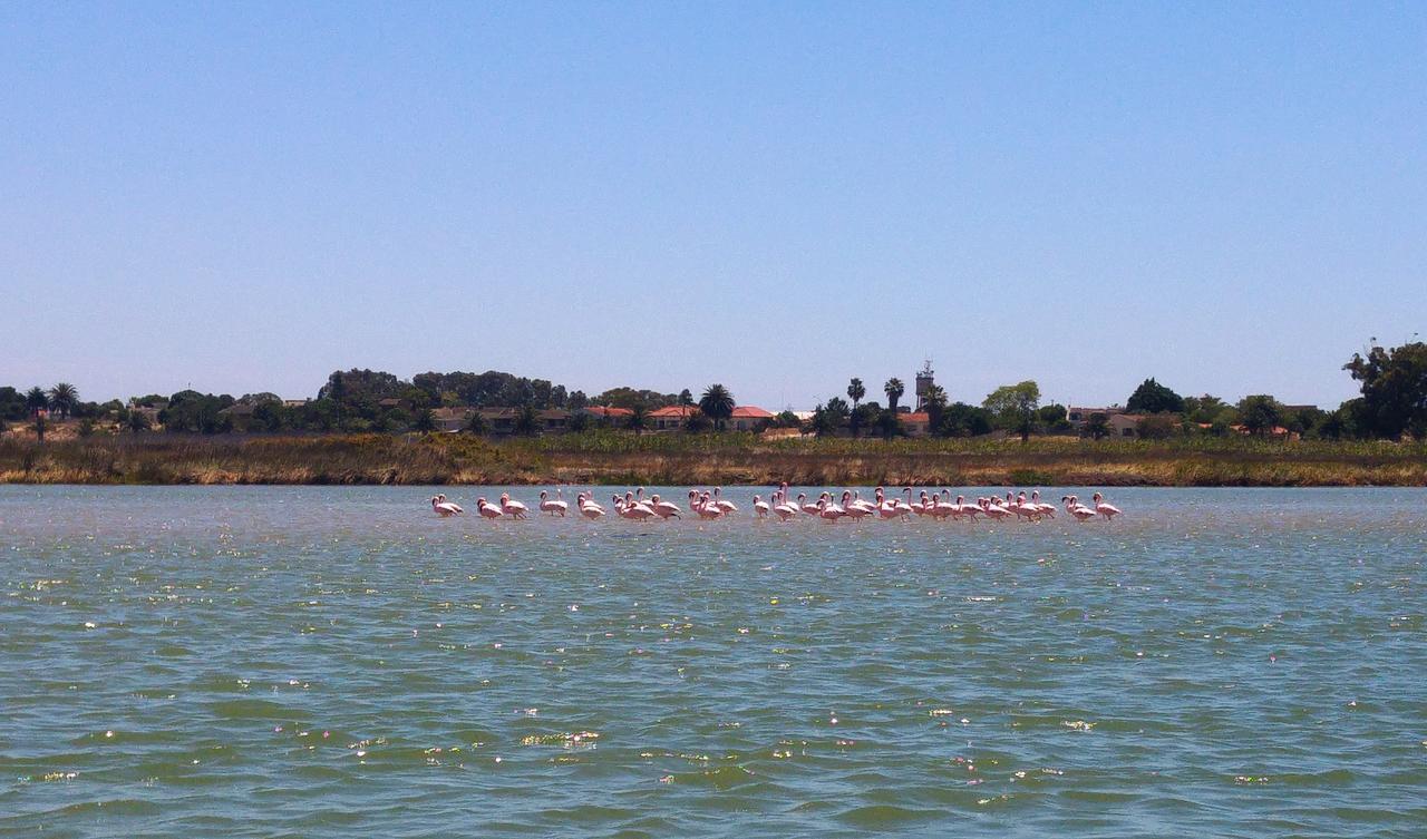 Le Marina B&B Velddrif Kültér fotó